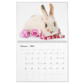 Schattige Baby Bunnies Kalender (Feb 2026)