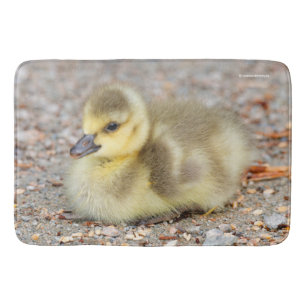 Schattige Baby Canada Goose op de grind Badmat