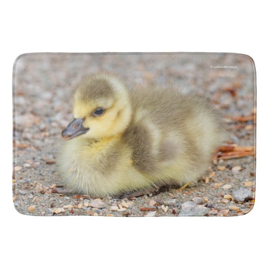 Schattige Baby Canada Goose op de grind Badmat (Voorkant)