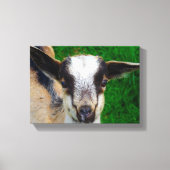 Schattige Baby Canvas Afdruk (Voorkant)