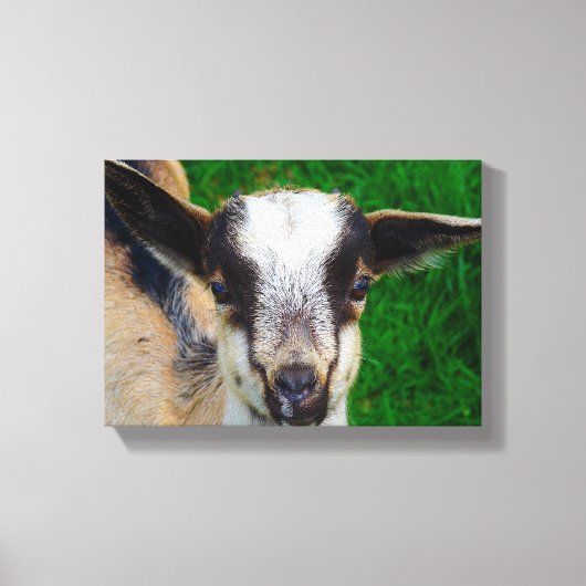 Schattige Baby Canvas Afdruk (Voorkant)