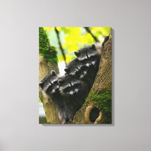 Schattige Baby Canvas Afdruk