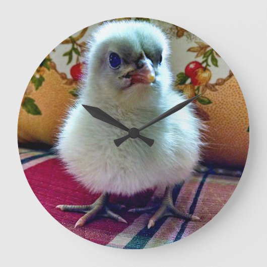 Schattige Baby Chick Wall klok (Voorkant)