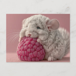 Schattige Baby Chinchilla die een Reusachtige Fram Briefkaart