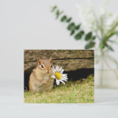 Schattige Baby Chipmunk met Daisy Briefkaart (Staand voorkant)