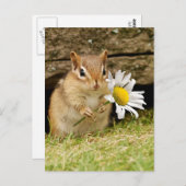 Schattige Baby Chipmunk met Daisy Briefkaart (Voorkant / Achterkant)