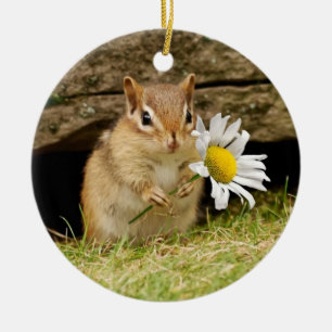 Schattige Baby Chipmunk met Daisy Keramisch Ornament