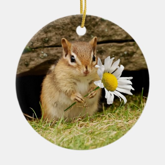 Schattige Baby Chipmunk met Daisy Keramisch Ornament (Voorkant)