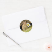 Schattige Baby Chipmunk met Daisy Ronde Sticker (Envelop)