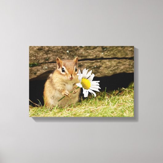 Schattige Baby Chipmunk met Daisy Wrapped Canvas Afdruk (Voorkant)