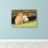 Schattige Baby Chipmunk met Daisy Wrapped Canvas Afdruk (Insitu (Houten vloer))