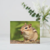 Schattige Baby-chipmunk met Snack Briefkaart (Staand voorkant)