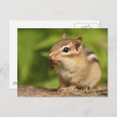 Schattige Baby-chipmunk met Snack Briefkaart (Voorkant / Achterkant)