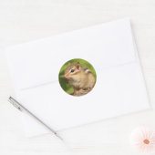 Schattige Baby Chipmunk met Snack Ronde Sticker (Envelop)