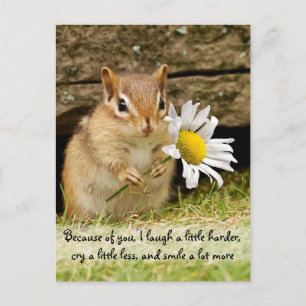 Schattige Baby Chipmunk met vriendschapsCitaat Briefkaart