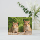 Schattige Baby Chipmunk Siblings Briefkaart (Staand voorkant)