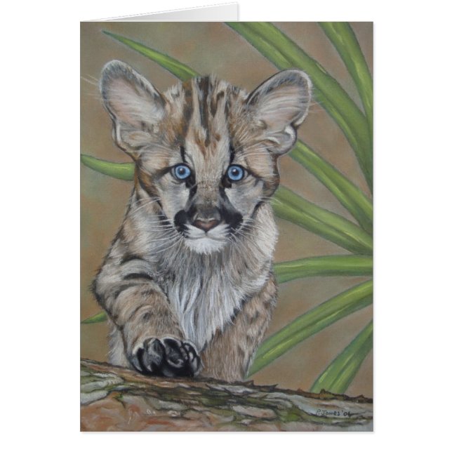 schattige baby cougar kitten grote kattenwild (Voorkant)