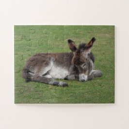 Schattige Baby Donkey Veulen Slapen Legpuzzel