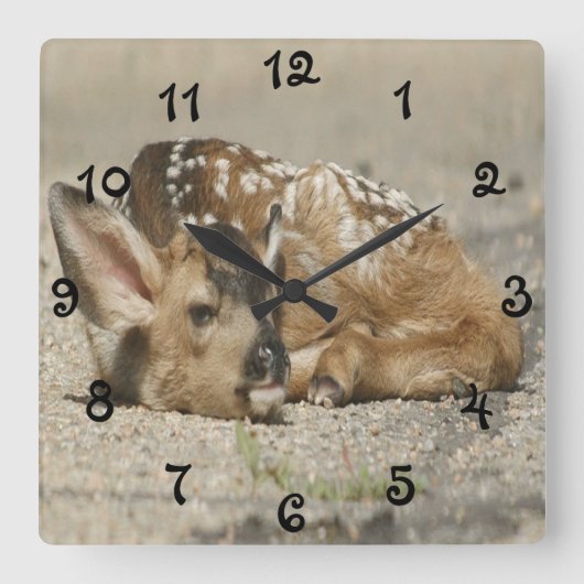Schattige Baby Fawn Vierkante Klok (Voorkant)