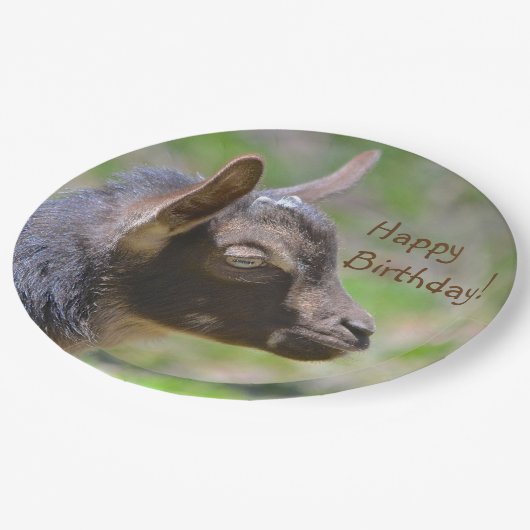 Schattige Baby Geitdag Papieren Bordje (Gekanteld)