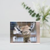 schattige baby giraffe briefkaart (Staand voorkant)