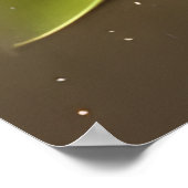 Schattige baby glimlachende koalabeer poster (Hoek)