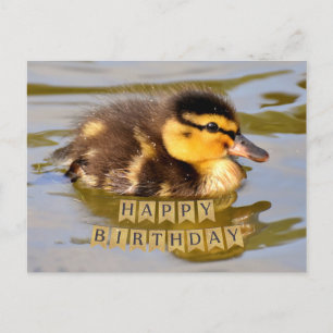Schattige Baby in de Pond Happy Birthday Briefkaart