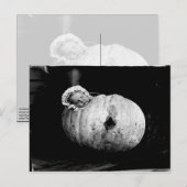  schattige baby in een pompoenbriefkaart briefkaart (Voorkant / Achterkant)