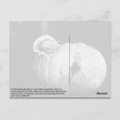  schattige baby in een pompoenbriefkaart briefkaart (Achterkant)