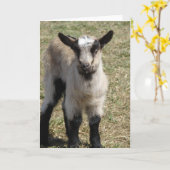 Schattige Baby Kaart (Gele Bloem)