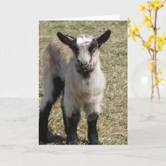 Schattige Baby Kaart (Gele Bloem)