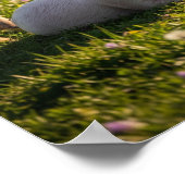 Schattige Baby-landbouwhuisdieren Poster (Hoek)