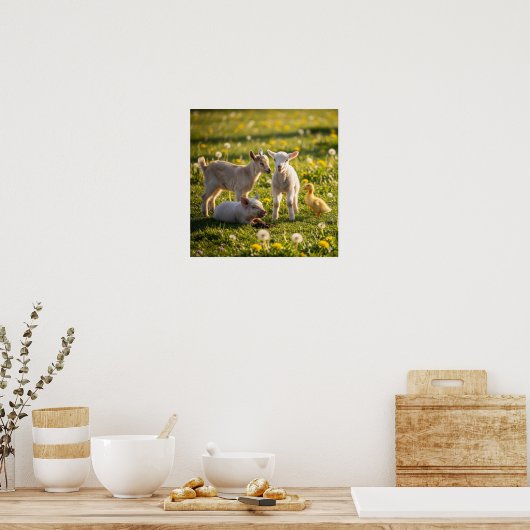 Schattige Baby-landbouwhuisdieren Poster (Keuken)