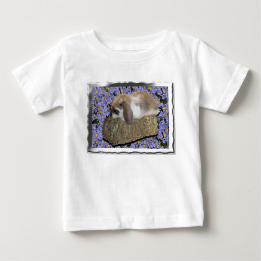 Schattige baby lopkonijn op mini baal (Voorkant)