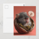 Schattige Baby-muis die in een walnootschelp slaap Briefkaart (Voorkant / Achterkant)