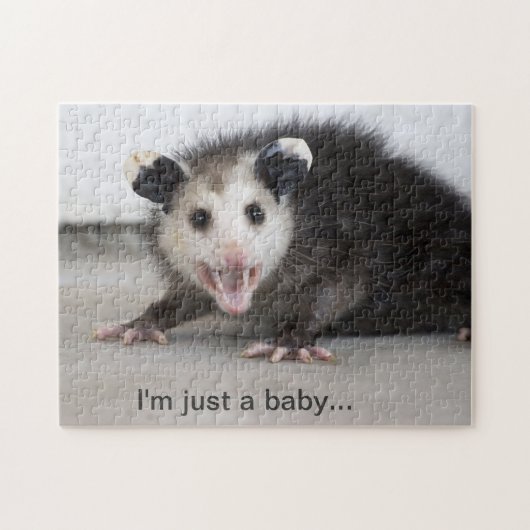 schattige baby opossum foto puzzel legpuzzel (Horizontaal)