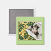 Schattige Baby Opossum Magneet (Voorkant / Achterkant)