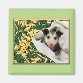 Schattige Baby Opossum Magneet (Voorkant)