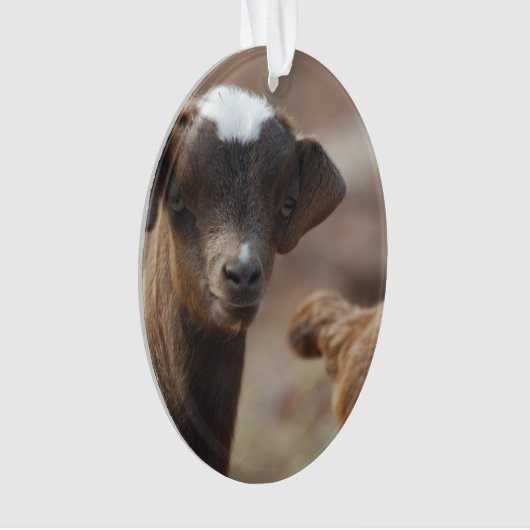 Schattige Baby Ornament (voorkant)