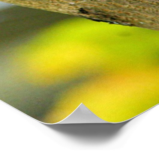 Schattige Baby Poster (Hoek)