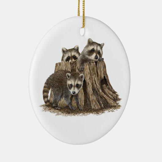 Schattige Baby Raccoons Ornament (Rechts)