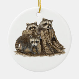 Schattige Baby Raccoons Ornament
