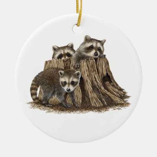 Schattige Baby Raccoons Ornament (Voorkant)
