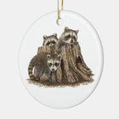 Schattige Baby Raccoons Ornament (Links)