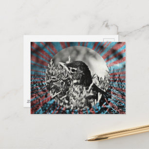 Schattige baby Robin Briefkaart
