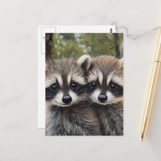 Schattige baby wasberen briefkaart (Voorkant / Achterkant in situ)