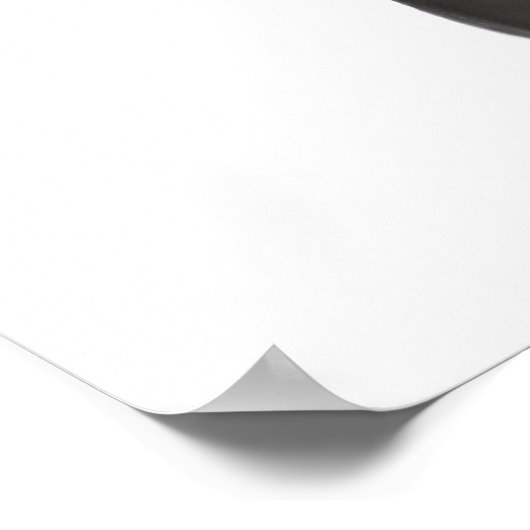 Schattige Baby Zebra Poster (Hoek)