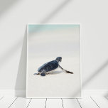 Schattige Baby Zee Schildpad op het strand Poster<br><div class="desc">Deze schattige Baby Zeeen schildpad op het strand Poster is geweldig voor het versieren van een kusthuis.</div>