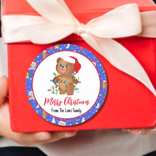 Schattige babybeer met dierentuin vrolijk kerstfee ronde sticker