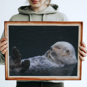 Schattige badend Zee otter glanzend fotografisch Perfect Poster
